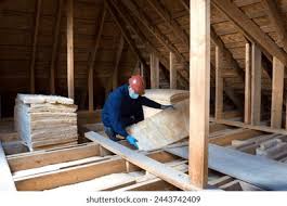 Best Crawl Space Insulation  in Havelock, NC